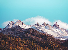 星空体育app下载-CBA：新疆伊力特战胜南京天之蓝 结束4连败